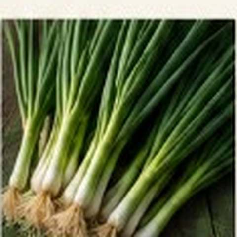 Green Bunching Onions