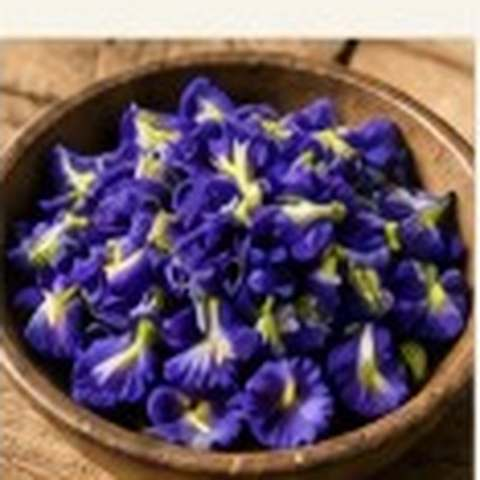 Butterfly Pea Flowers